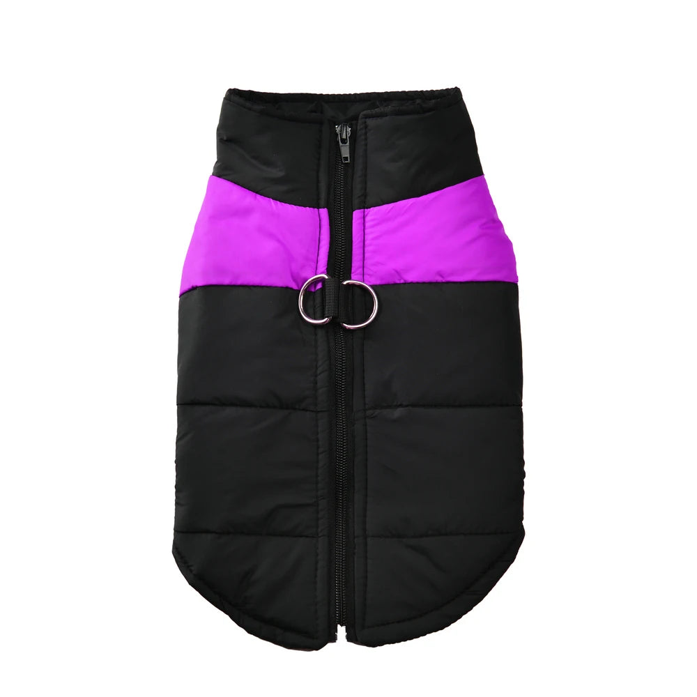 Winter Jacket