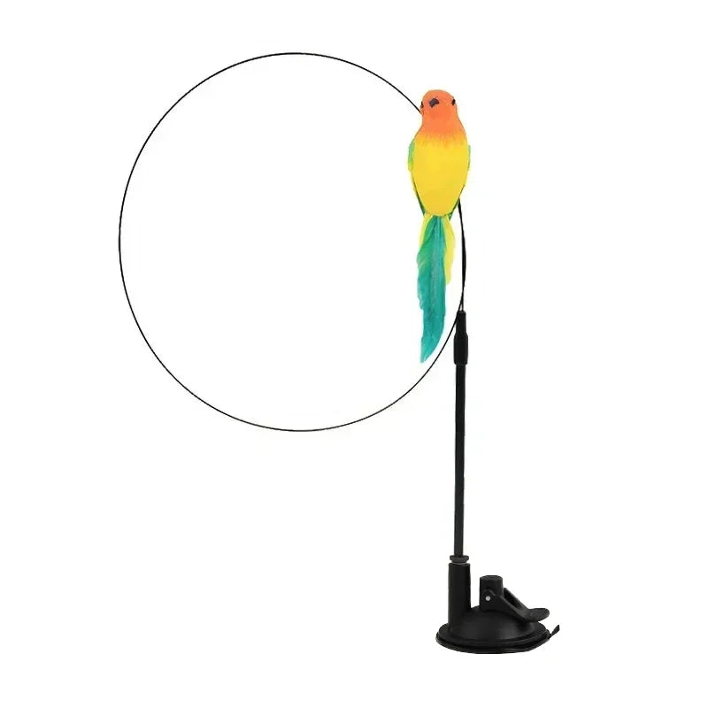 Peacock Teaser