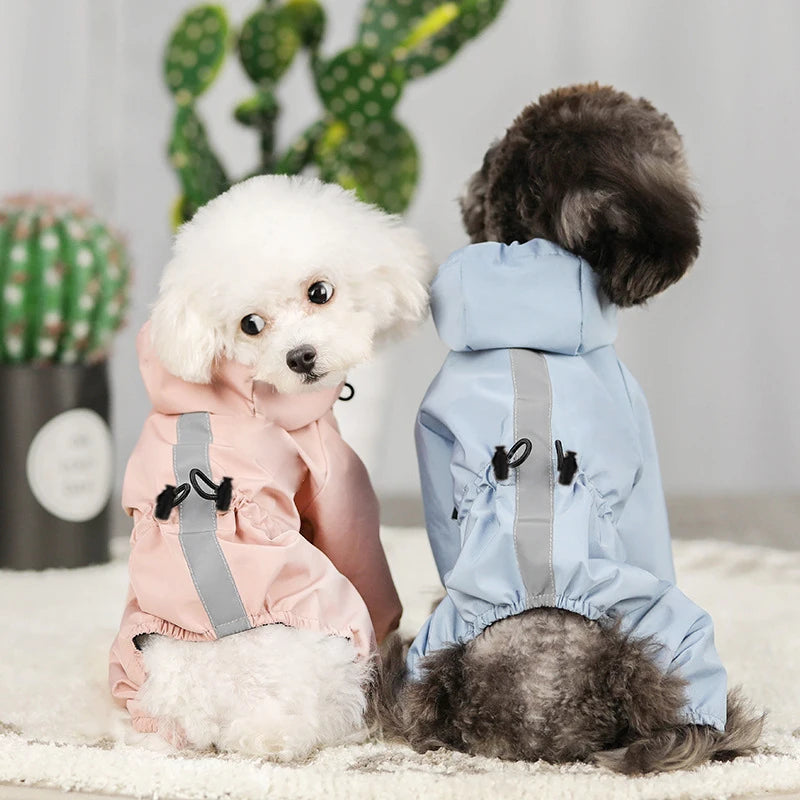 Raincoat