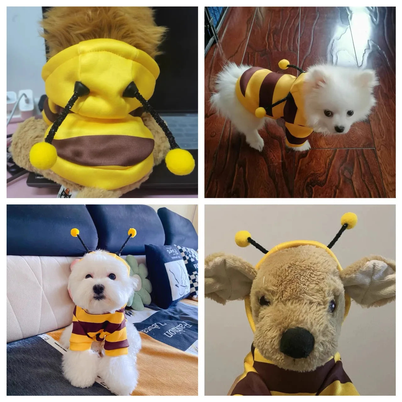 Bee Hoodie