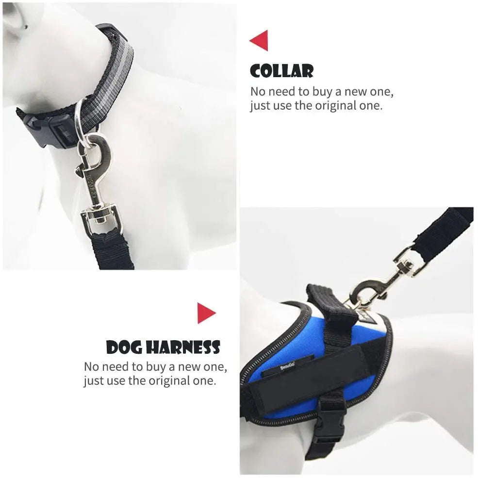 Car Safety Belt