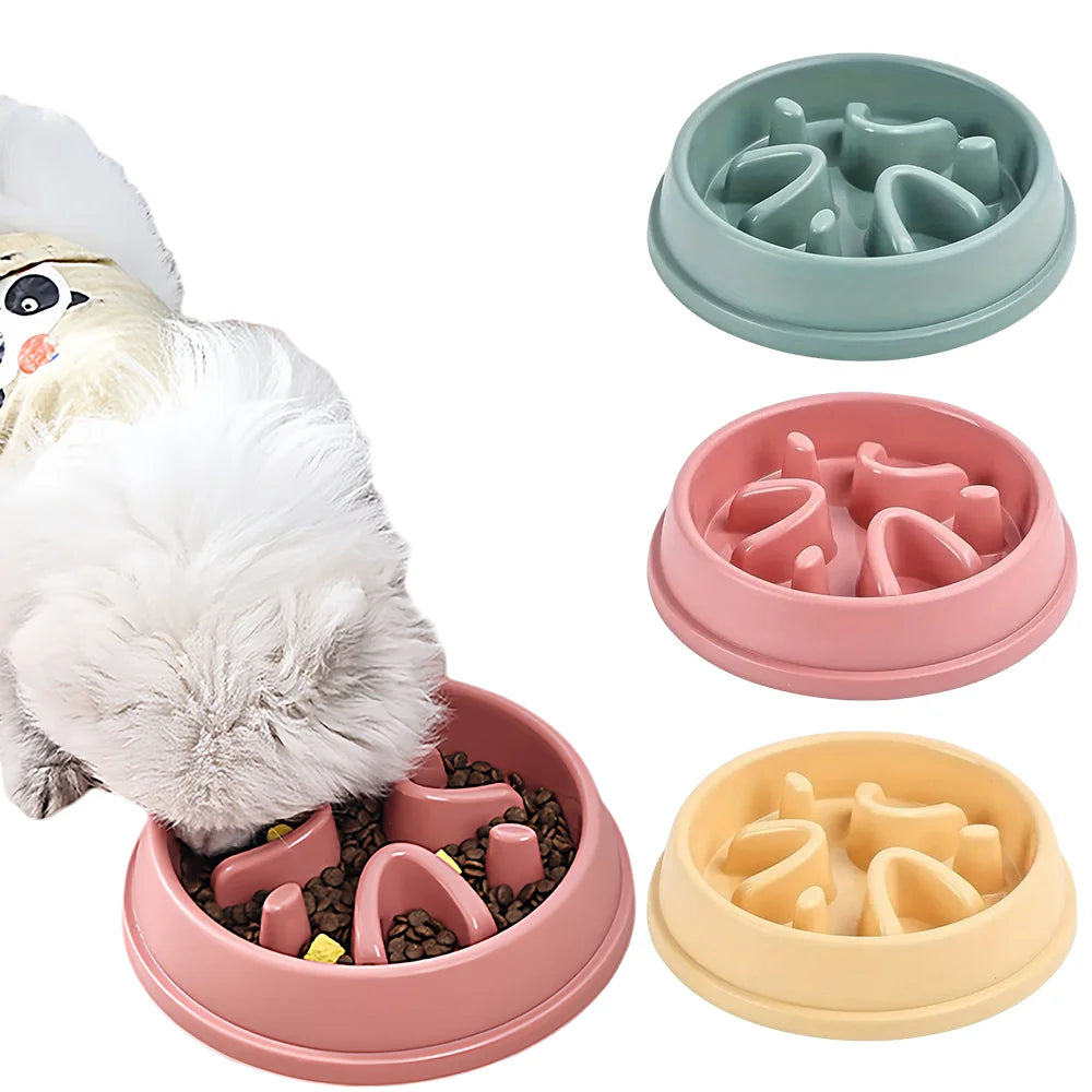 Slow Feeder Bowl