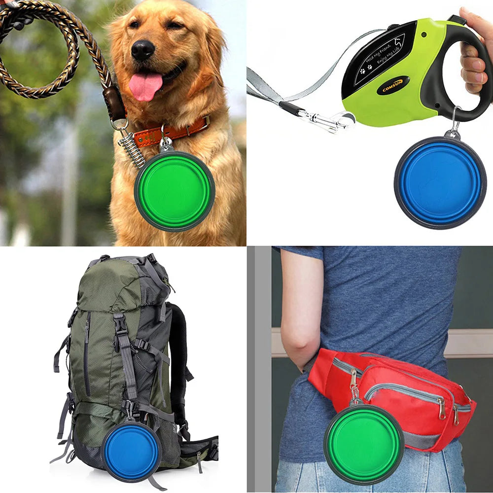 Foldable Travel Bowl