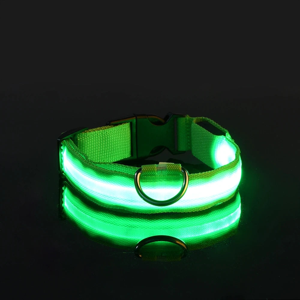 LED Glow Collar
