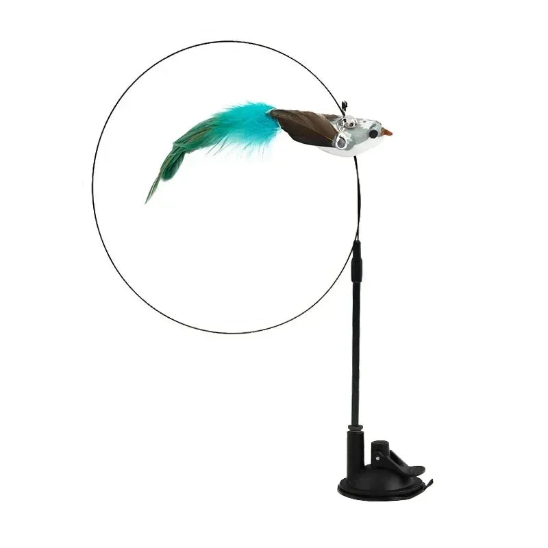 Peacock Teaser