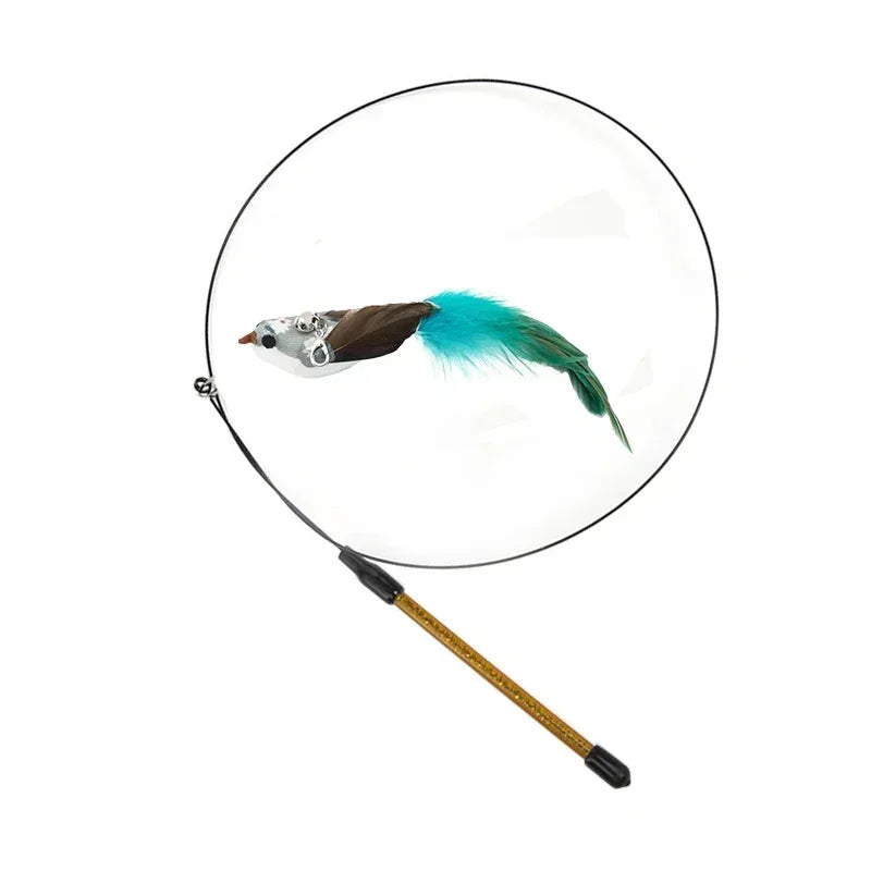 Peacock Teaser
