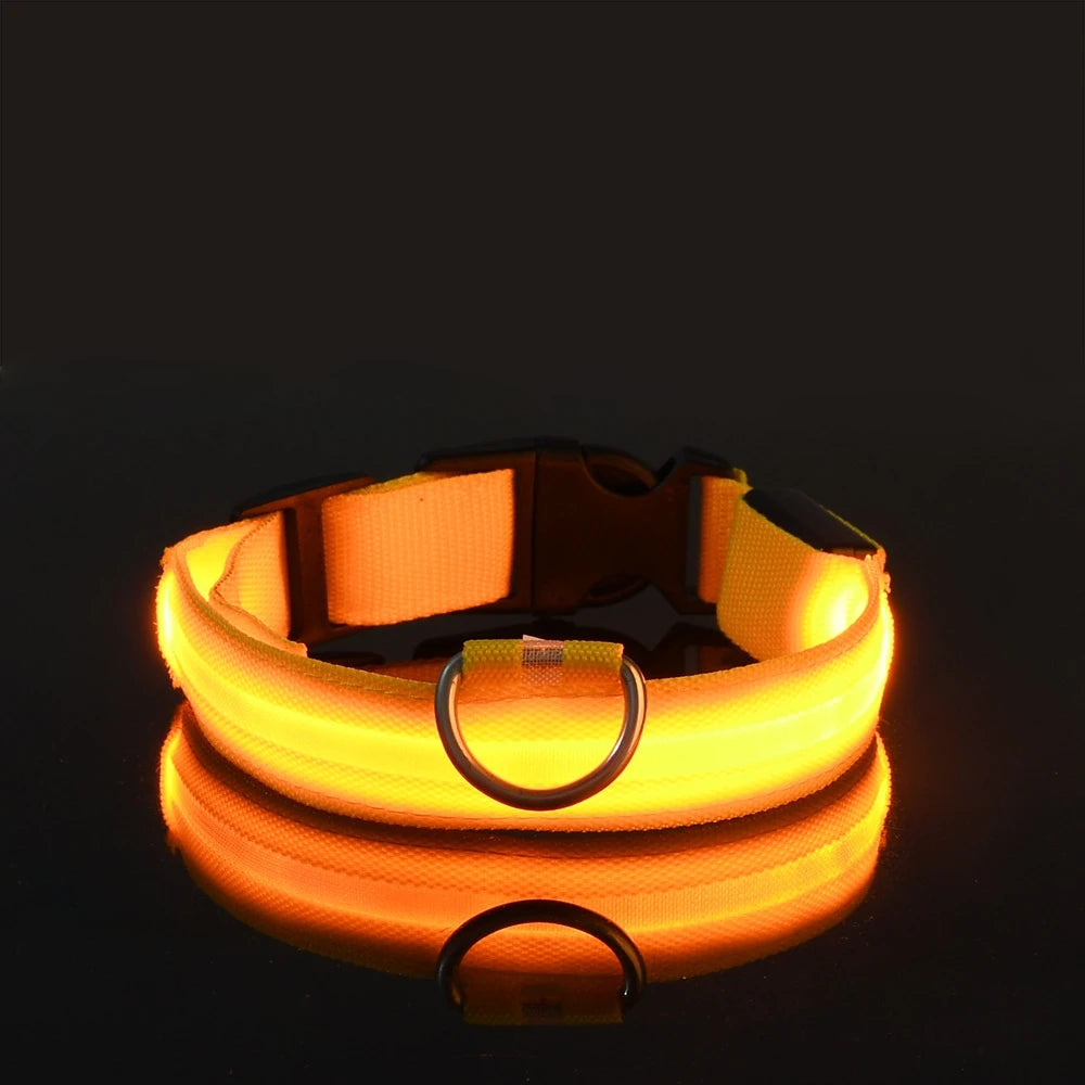 LED Glow Collar