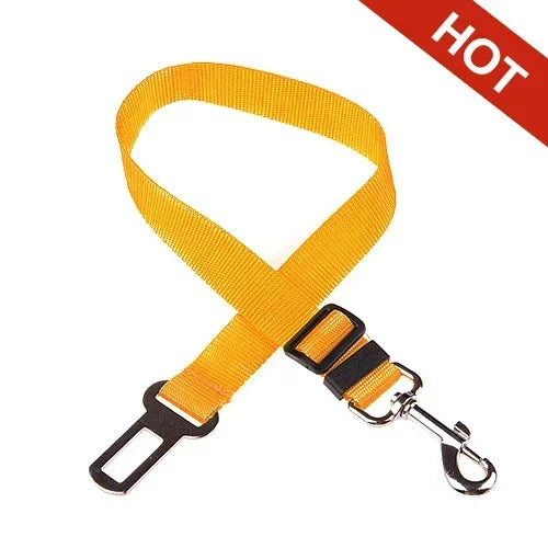 Car Safety Belt