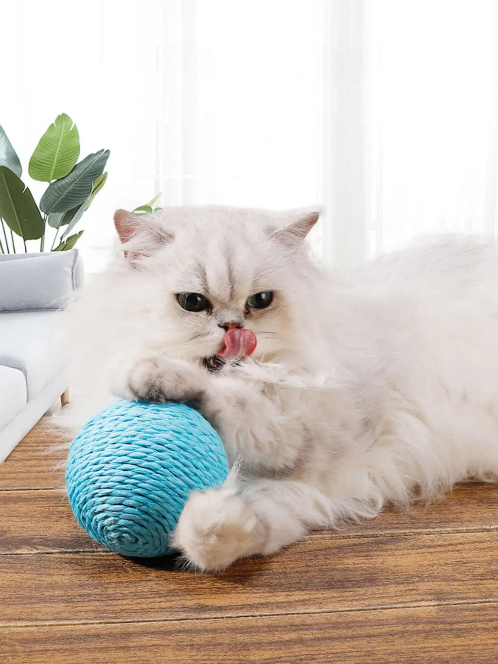 Sisal Scratch Ball