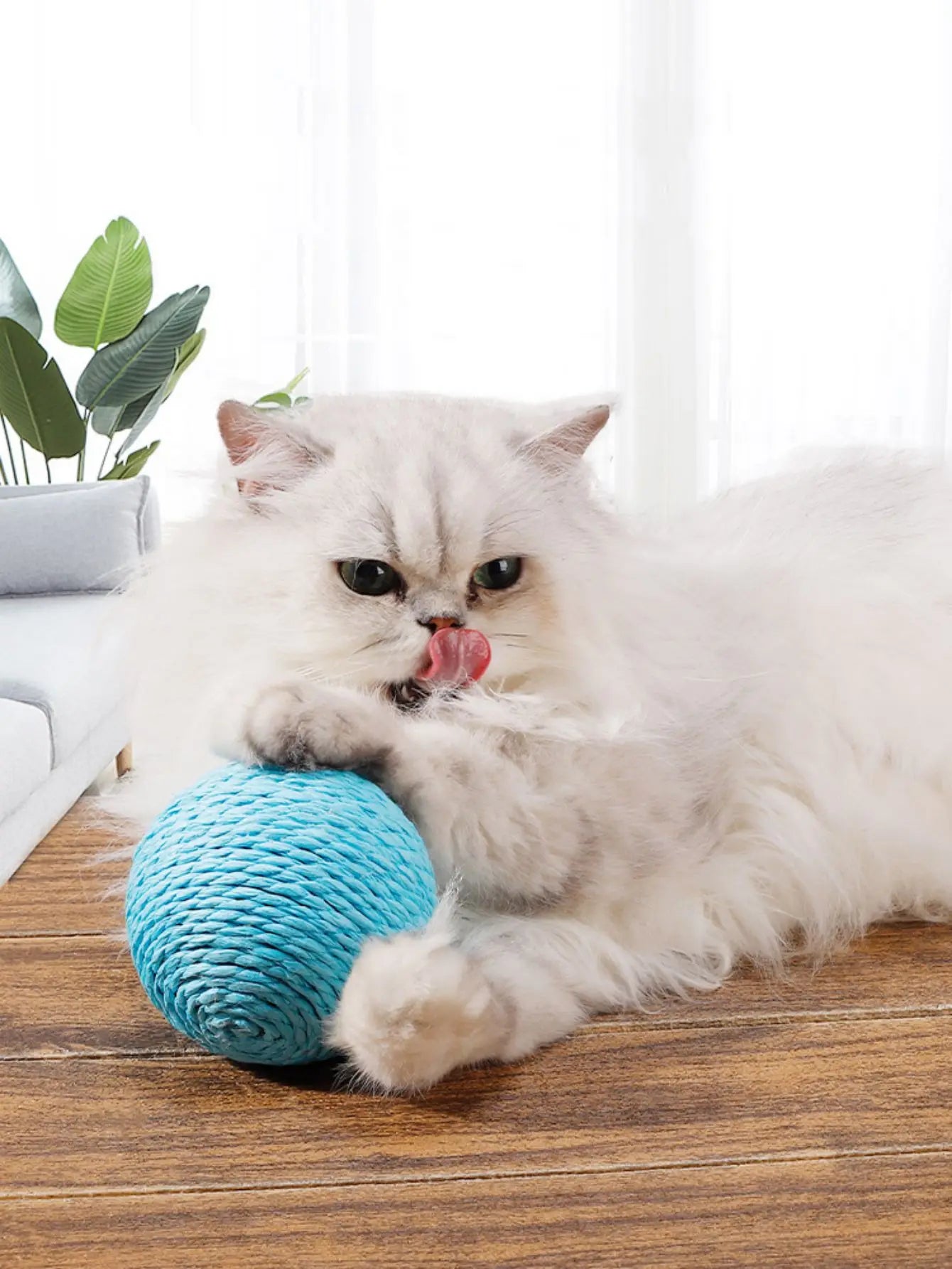 Sisal Scratch Ball