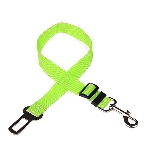 Car Safety Belt