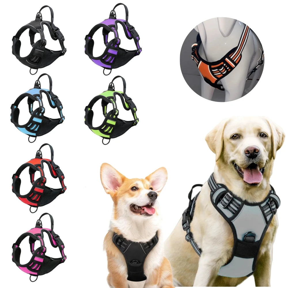 Heavy Duty Harness