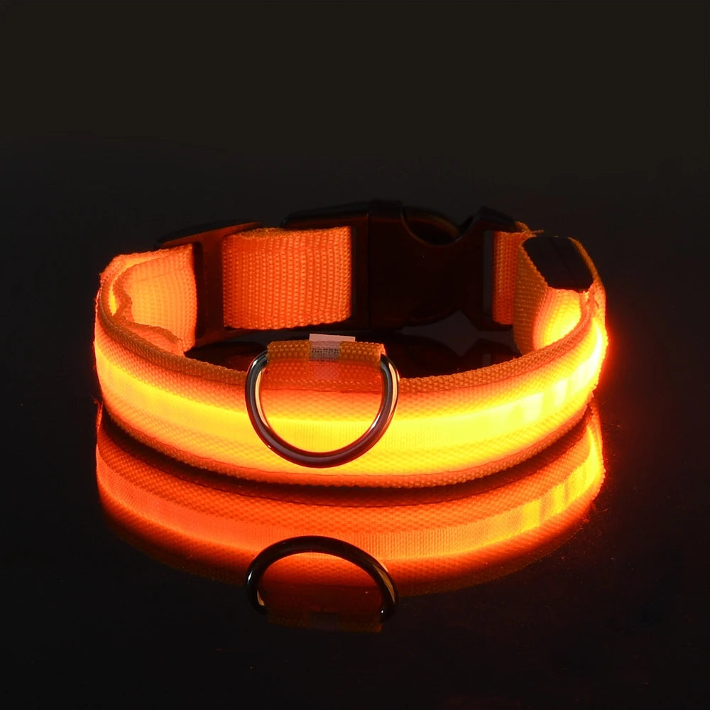 LED Glow Collar
