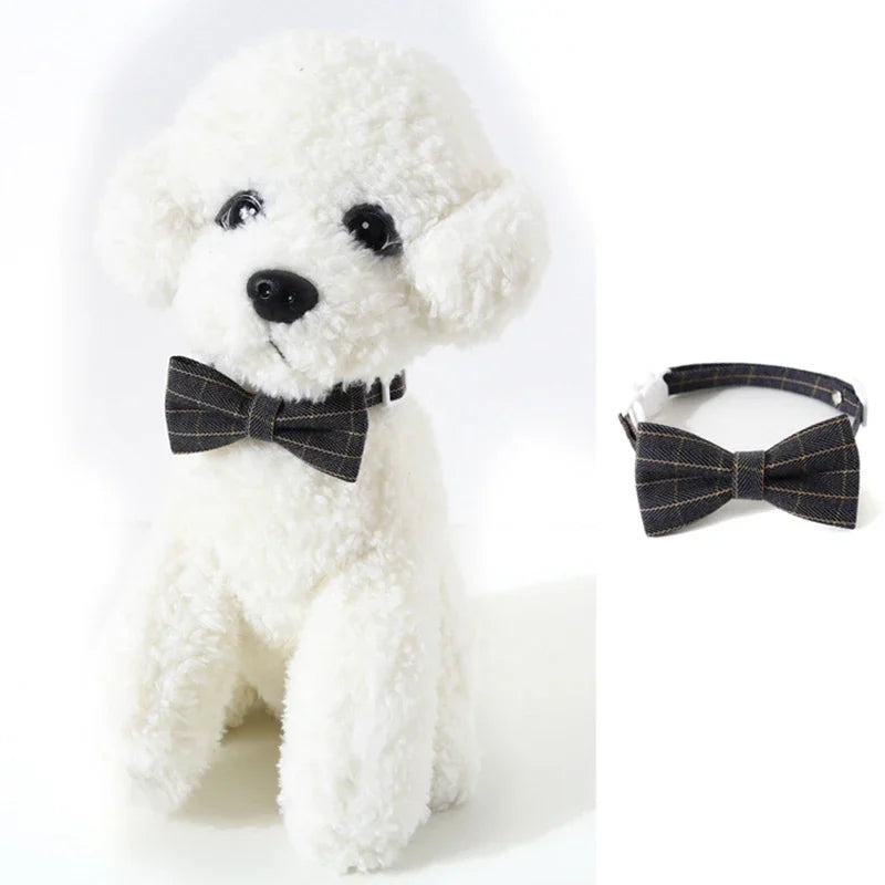 Cat Collar