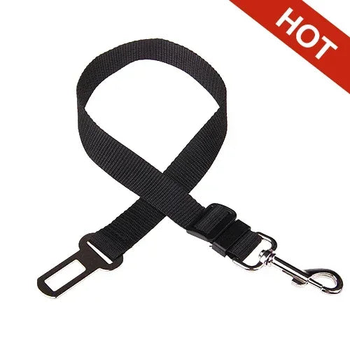 Car Safety Belt
