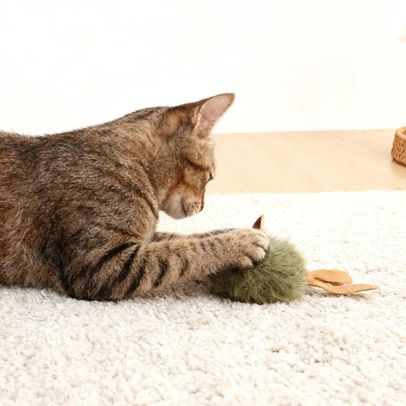 Squeaky Mouse Pack