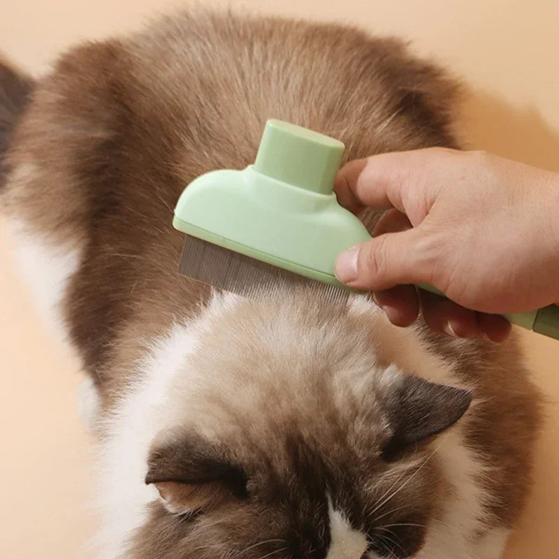 Grooming Comb