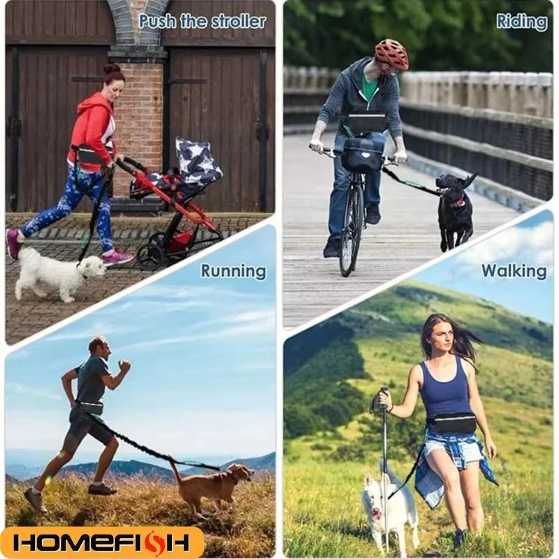 Hands-Free Leash