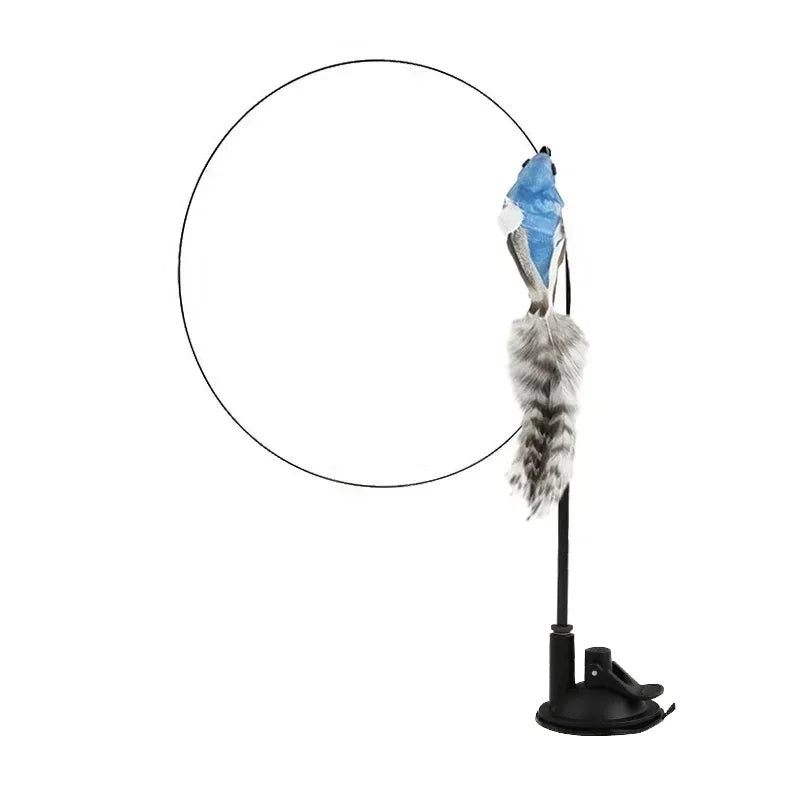 Peacock Teaser