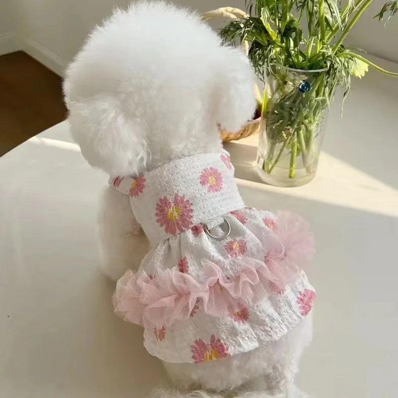 Princess Dress