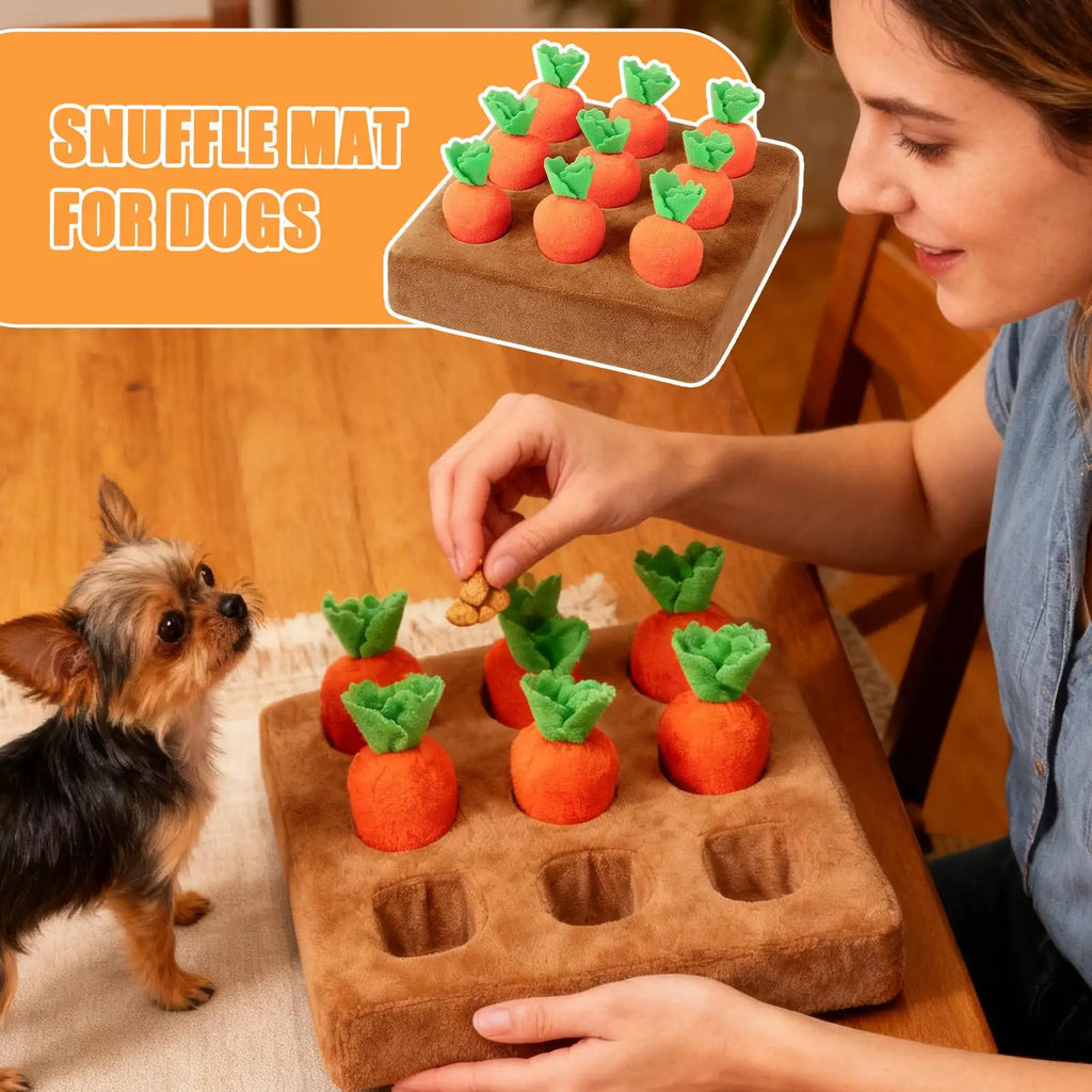 Carrot Snuffle Mat
