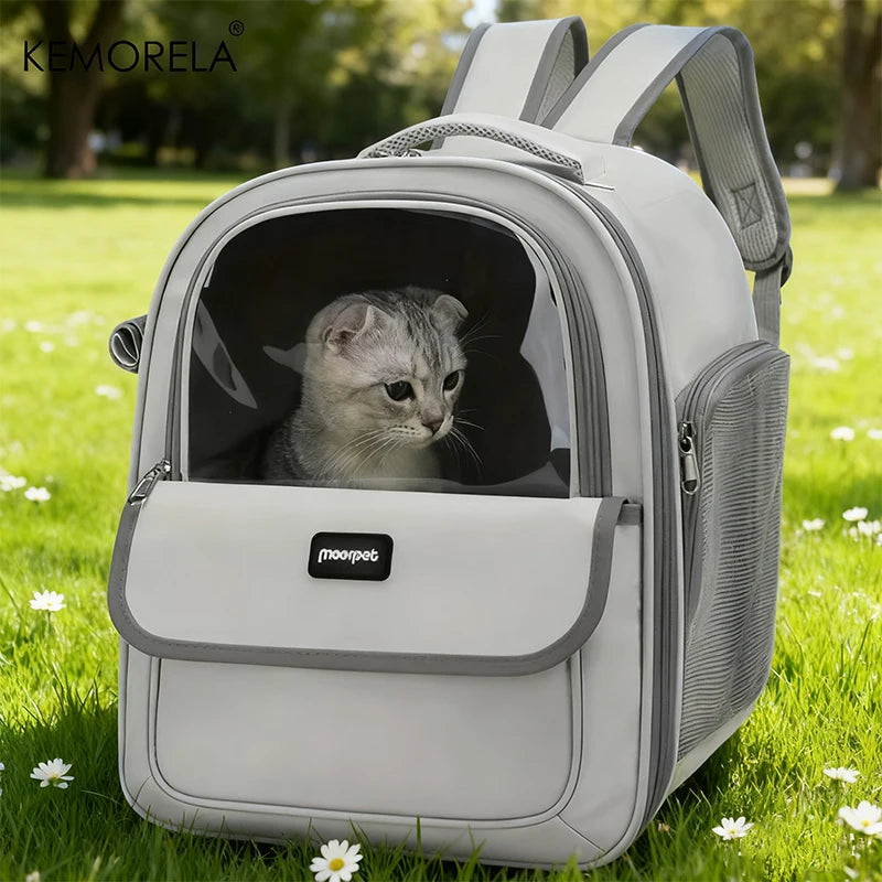 Mesh Carrier Backpack
