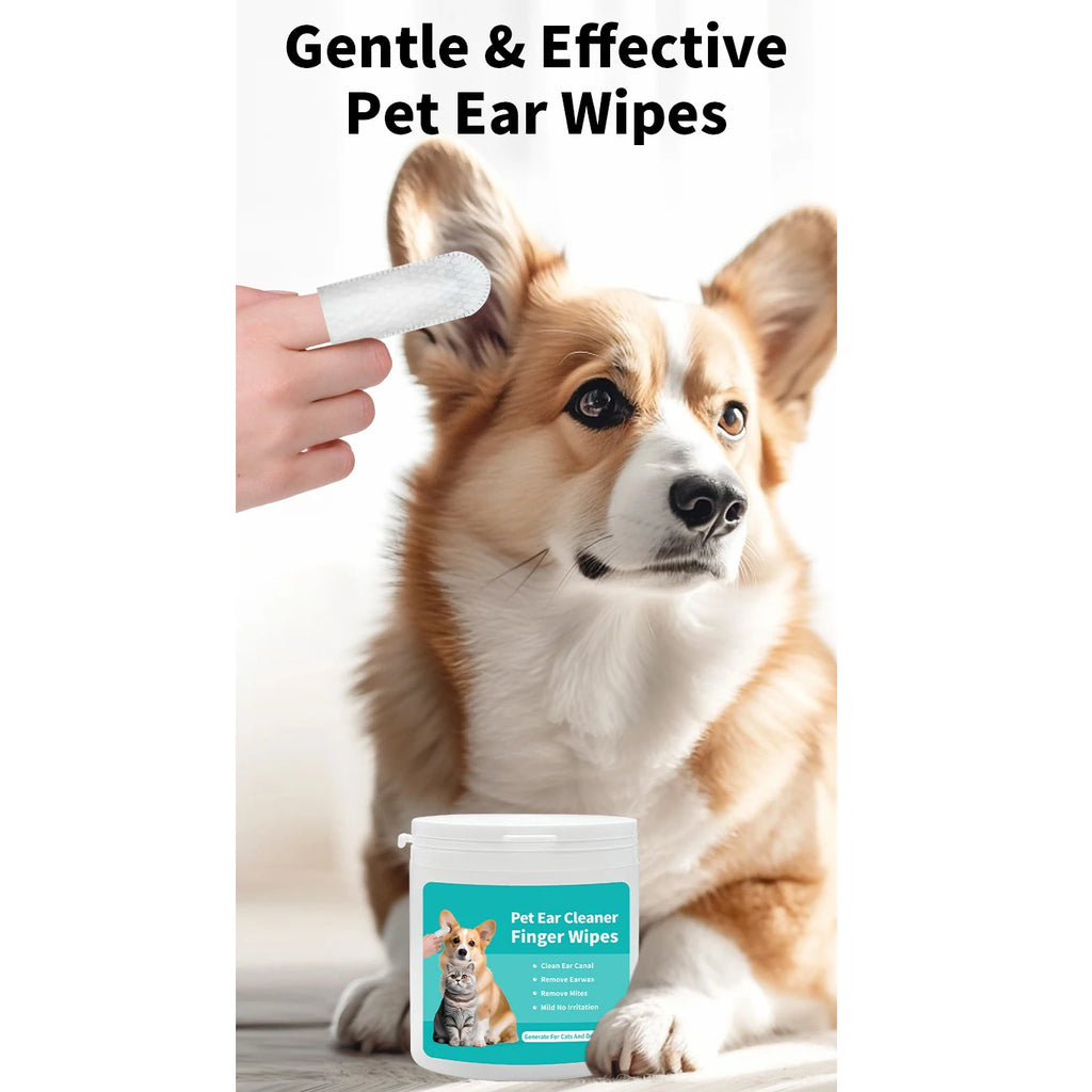 Ear Care Wipes