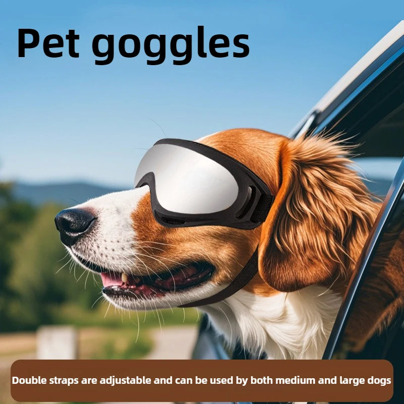 Dog Goggles