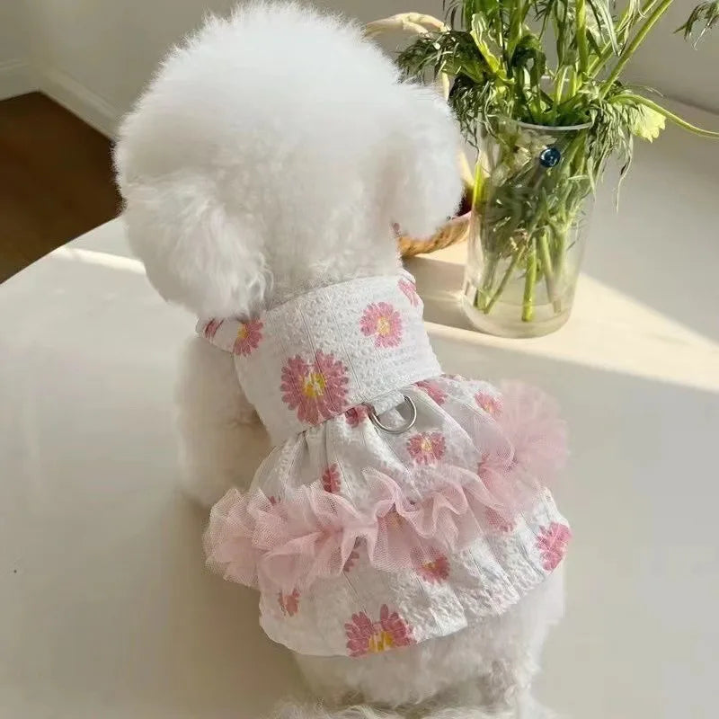 Princess Dress