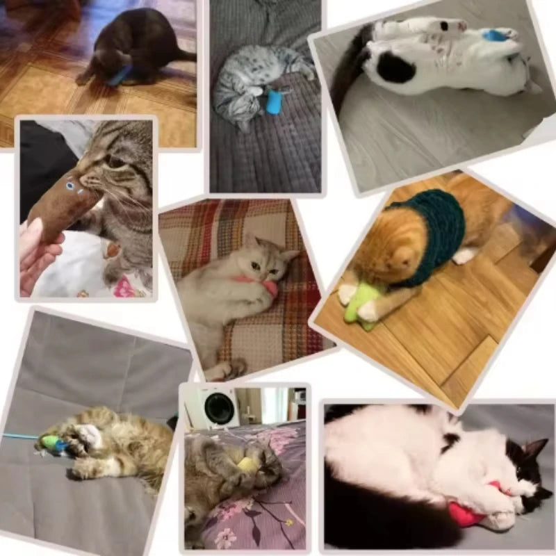 Catnip Chew Plush