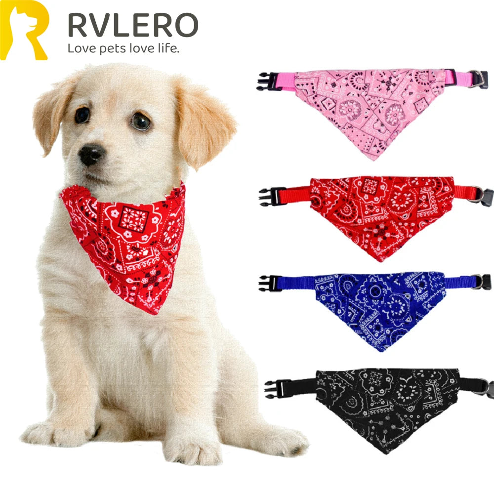 Bandana