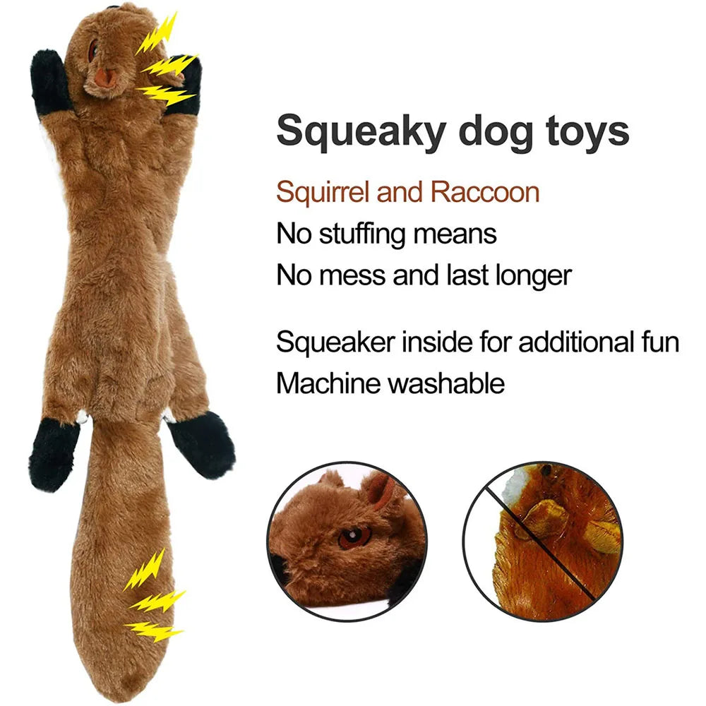 Squeaky Crinkle Toy