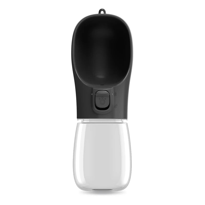 Travel Water Bottle