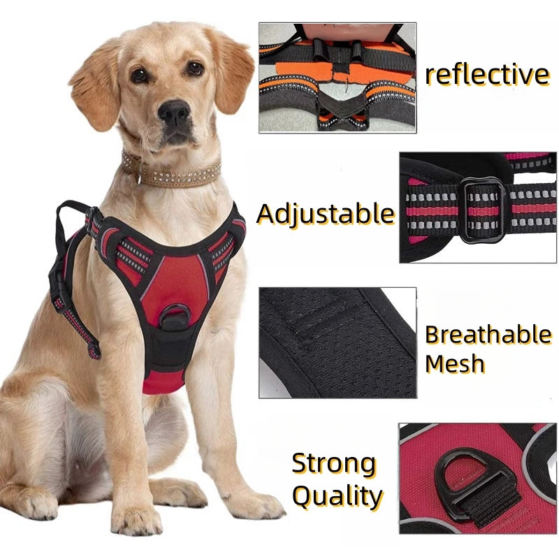 Heavy Duty Harness