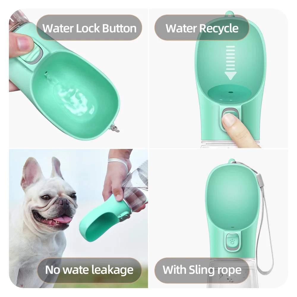 Travel Water Bottle