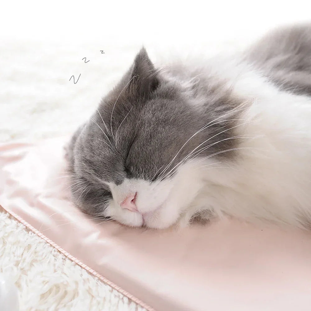 Heated Blanket