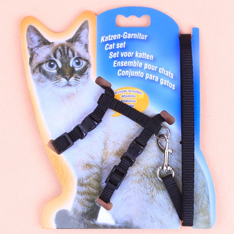 Cat Harness Set