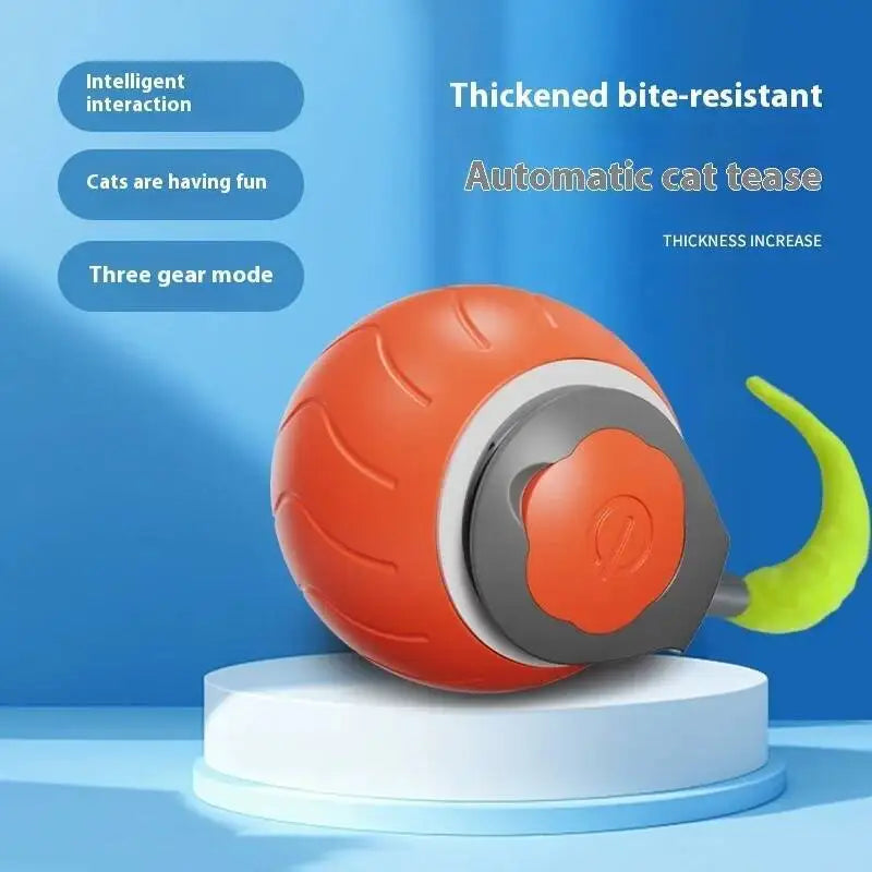 Tail Chaser Ball