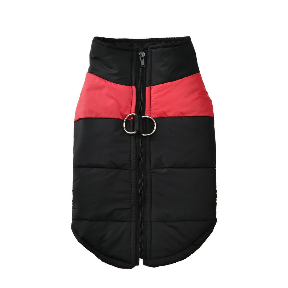 Winter Jacket