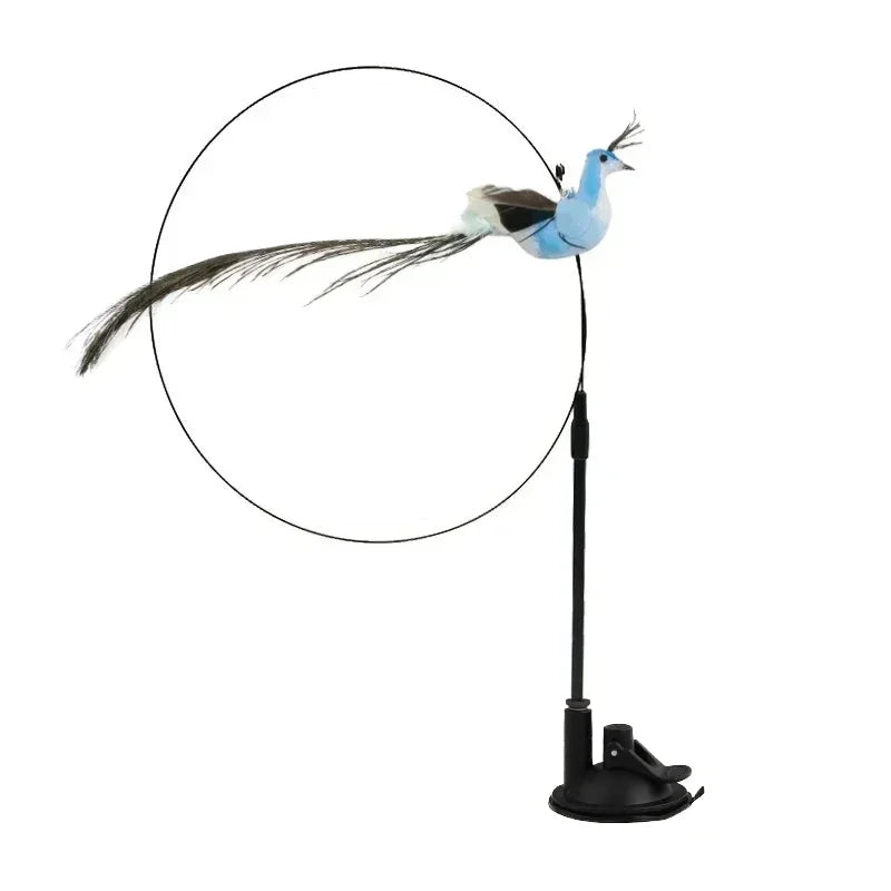 Peacock Teaser
