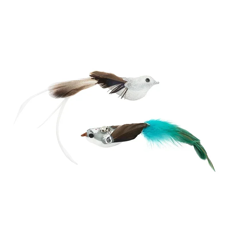 Peacock Teaser