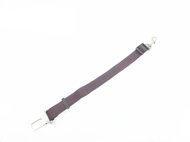 Car Safety Belt