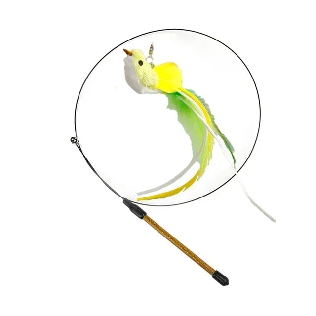Peacock Teaser