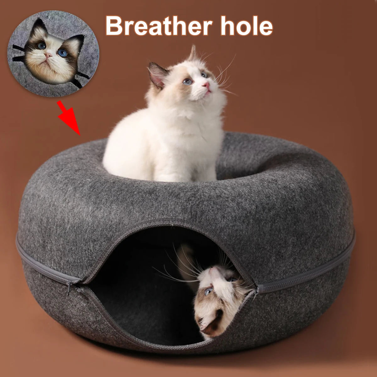 Cat Donut Tunnel