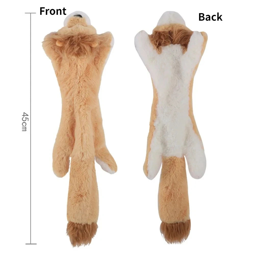 Squeaky Crinkle Toy