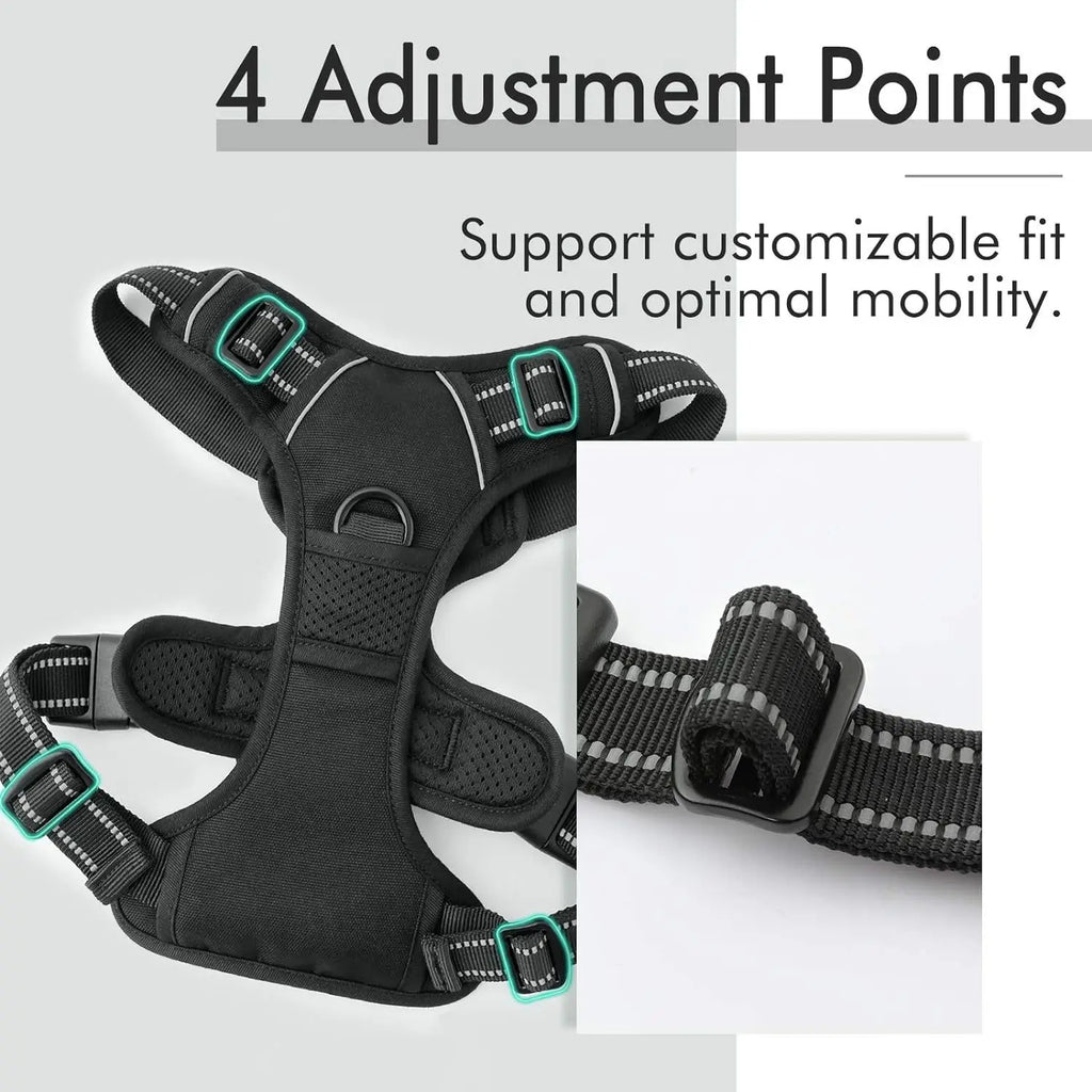 Heavy Duty Harness