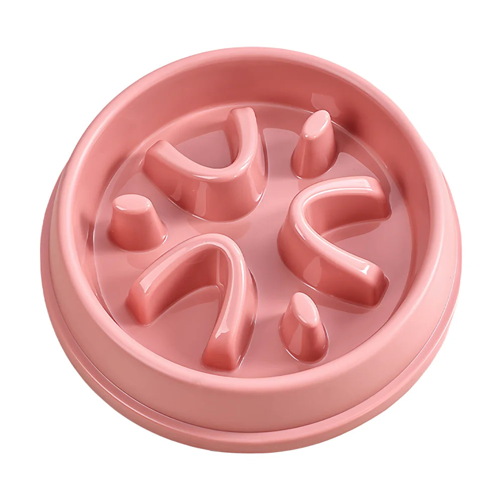 Slow Feeder Bowl