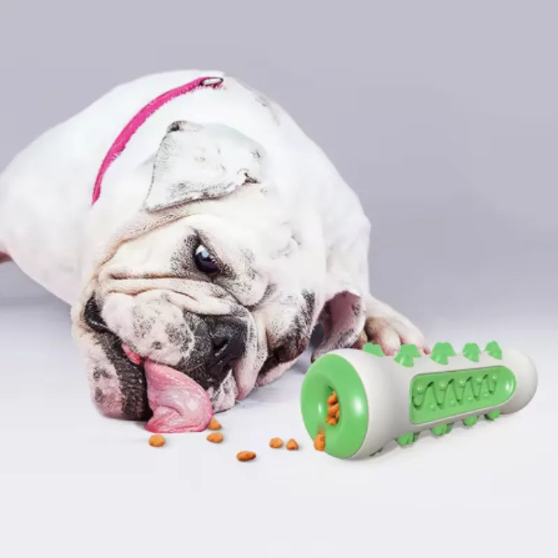 Dental Chew Brush