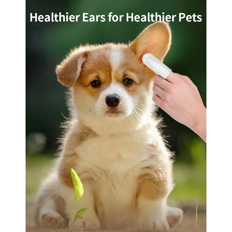 Ear Care Wipes