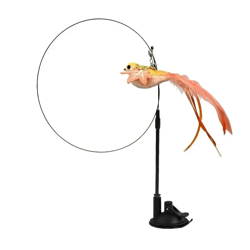 Peacock Teaser